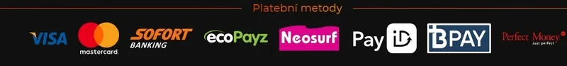 Platební metody dostupné v kasinu Fortune Clock Casino