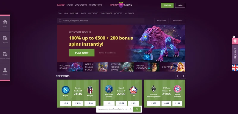 Přehled oficiálních webových stránek Malina Casino