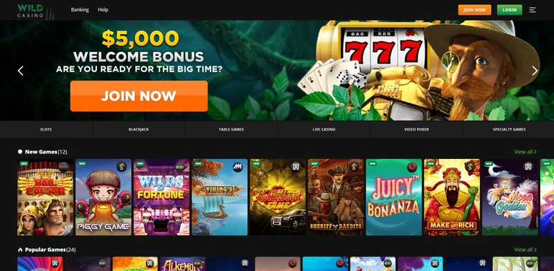 Přehled oficiálních webových stránek Wild Casino