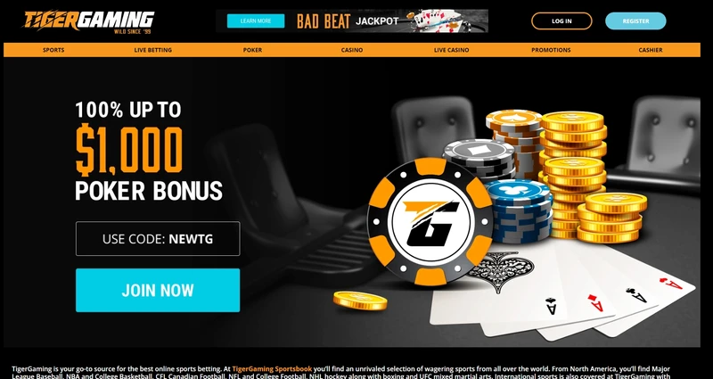 Přehled oficiálních webových stránek Tiger Gaming Casino