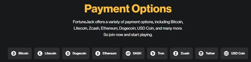 Platební metody v Fortunejack casino